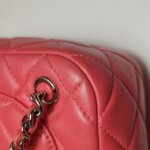 Chanel Quilted Lambskin CC Backpack (Шанель) — фото 21
