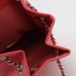 Chanel Quilted Lambskin CC Backpack (Шанель) — фото 7