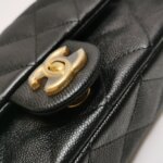 Chanel Flap Bag (Шанель) — фото 15