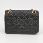 Chanel 2.55 Flag Bag (Шанель) — фото 5