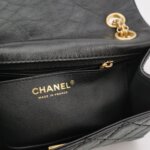 Chanel 2.55 Flag Bag (Шанель) — фото 8