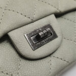 Chanel 2.55 Flag Bag (Шанель) — фото 11