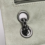 Chanel 2.55 Flag Bag (Шанель) — фото 13