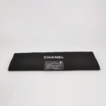 Chanel 2.55 Flag Bag (Шанель) — фото 9