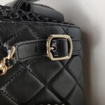 Chanel Quilted Lambskin CC Backpack (Шанель) — фото 14