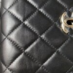 Chanel Quilted Lambskin CC Backpack (Шанель) — фото 17