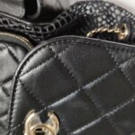 Chanel Quilted Lambskin CC Backpack (Шанель) — фото 19