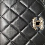 Chanel Quilted Lambskin CC Backpack (Шанель) — фото 20