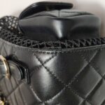 Chanel Quilted Lambskin CC Backpack (Шанель) — фото 21