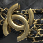 Chanel 25 Bag (Шанель) — фото 14
