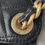 Chanel 25 Bag (Шанель) — фото 17