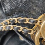 Chanel 25 Bag (Шанель) — фото 22