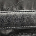 Chanel 25 Bag (Шанель) — фото 26