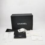 Chanel Quilted Lambskin CC Backpack (Шанель) — фото 9