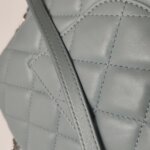 Chanel Quilted Lambskin CC Shoulder Bag (Шанель) — фото 24