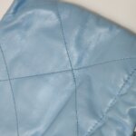 Chanel 22Bag (Шанель) — фото 17