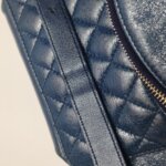 Chanel Quilted Lambskin CC Belt Bag (Шанель) — фото 28