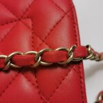 Chanel Flap Bag (Шанель) — фото 13