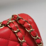 Chanel Flap Bag (Шанель) — фото 14