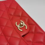 Chanel Flap Bag (Шанель) — фото 15