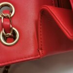Chanel Flap Bag (Шанель) — фото 19