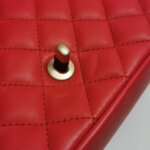 Chanel Flap Bag (Шанель) — фото 20