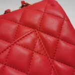 Chanel Flap Bag (Шанель) — фото 22