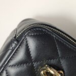 Chanel Vanity Case (Шанель) — фото 20