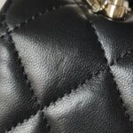 Chanel Quilted Lambskin CC Crossbody (Шанель) — фото 17