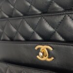 Chanel Flap Bag (Шанель) — фото 15