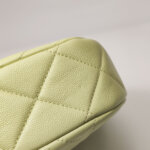Chanel Quilted Calfskin CC Shoulder Bag (Шанель) — фото 20