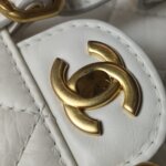 Chanel Quilted Waxed Calfskin CC Crossbody (Шанель) — фото 15