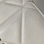 Chanel 19Bag (Шанель) — фото 19