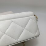 Chanel Quilted Calfskin CC Crossbody (Шанель) — фото 23