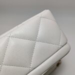 Chanel Quilted Calfskin CC Crossbody (Шанель) — фото 24