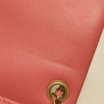 Chanel Classic Flap (Шанель) — фото 17