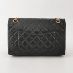 Chanel 2.55 Flag Bag (Шанель) — фото 5