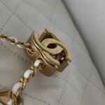 Chanel 25 Bag (Шанель) — фото 10