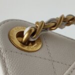 Chanel 25 Bag (Шанель) — фото 12