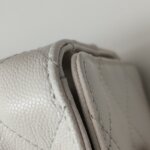 Chanel 25 Bag (Шанель) — фото 15