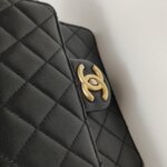 Chanel Flap Bag (Шанель) — фото 12
