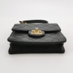 Chanel Flap Bag (Шанель) — фото 6