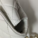 Chanel Quilted Lambskin CC Shoulder Bag (Шанель) — фото 18