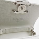 Chanel Quilted Calfskin CC Crossbody (Шанель) — фото 8