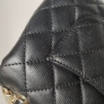 Chanel Coco Handle (Шанель) — фото 19