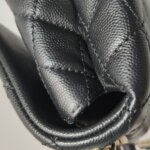 Chanel Coco Handle (Шанель) — фото 20