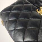 Chanel Flap Bag (Шанель) — фото 19