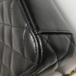 Chanel Quilted Lambskin CC Crossbody (Шанель) — фото 20