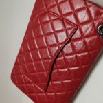 Chanel 2.55 Flag Bag (Шанель) — фото 20