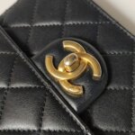 Chanel Flap Bag (Шанель) — фото 14